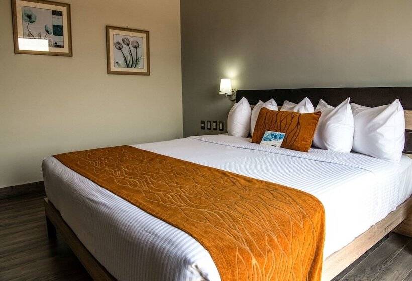 فندق Comfort Inn Irapuato