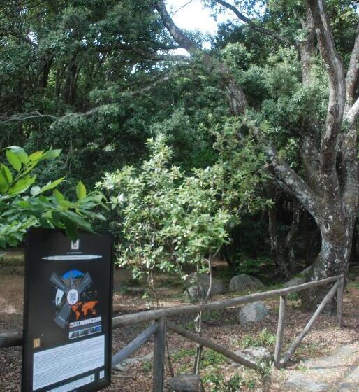 Отель Bosco Selene