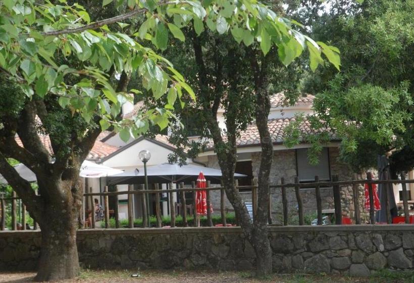 Отель Bosco Selene