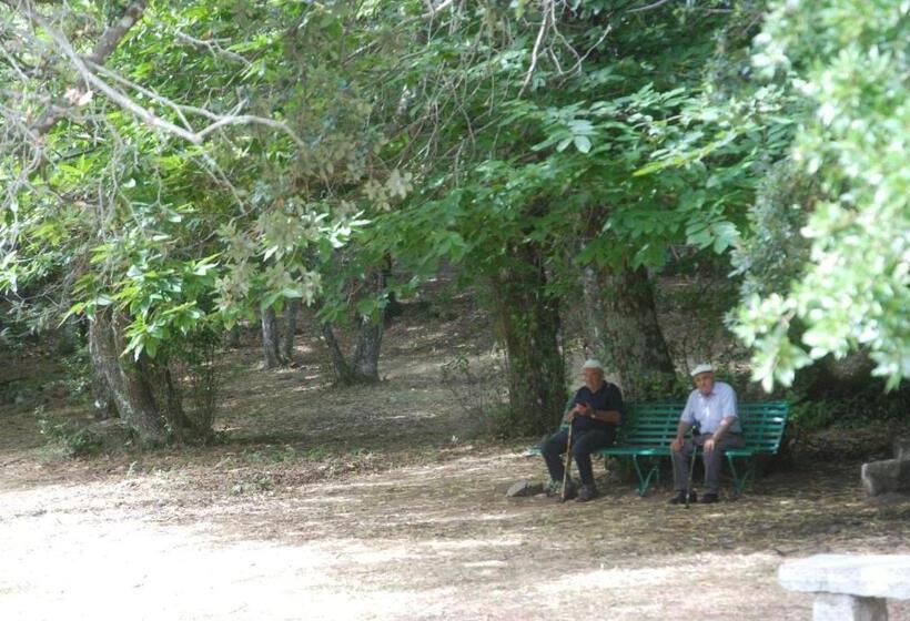 Отель Bosco Selene