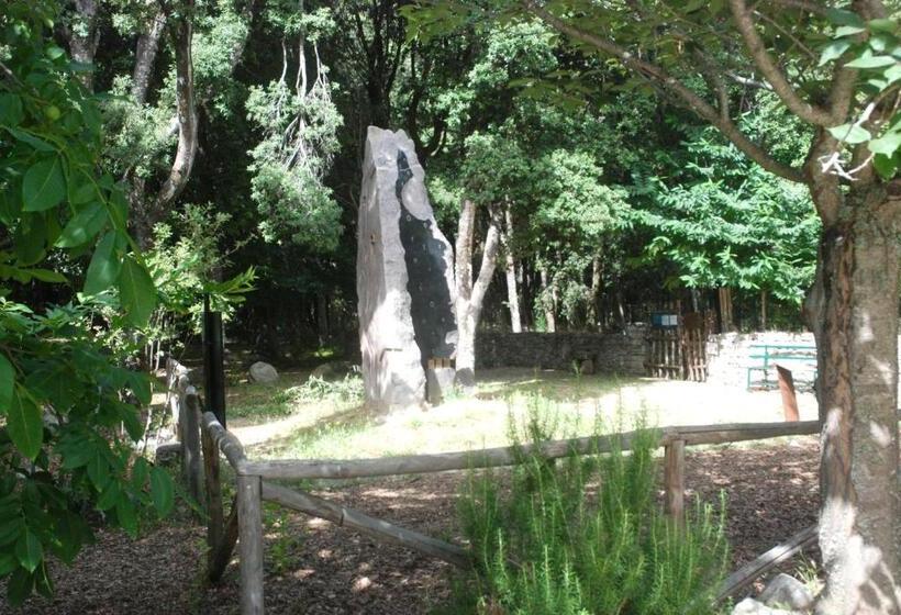 Отель Bosco Selene