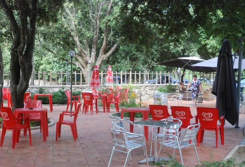 Отель Bosco Selene