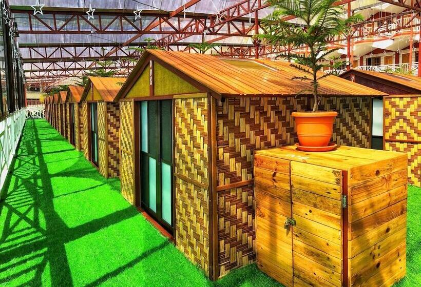 فنادق الكبسولة Kea Garden Mini Chalet   Hostel