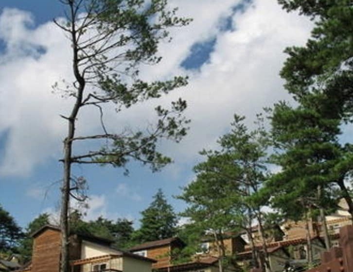 Hyundai Soo Resort Hoengseong