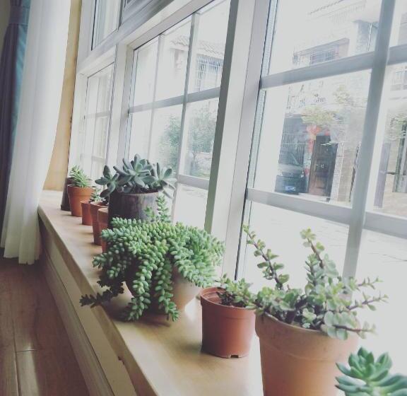 פנסיון Bloom Time Guest House