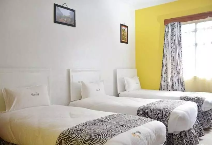 Pension Paz Guesthouse Nairobi   Kileleshwa