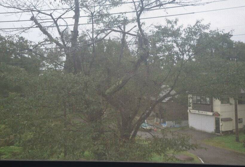 Рёкан Cafe Cerisier栖里時絵