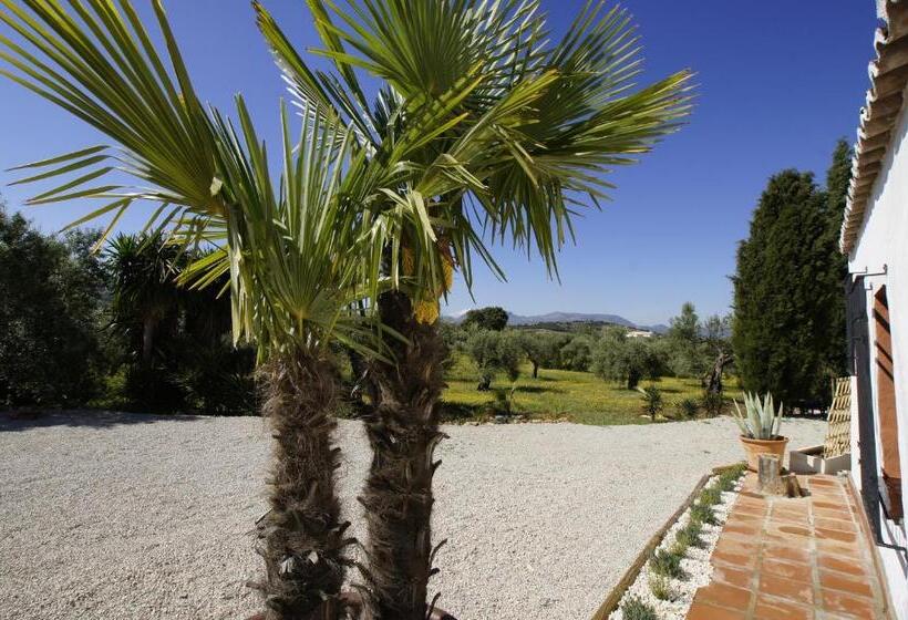 هتل La Guzmana De Ronda