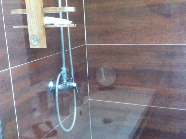 پانسیون Araucaria