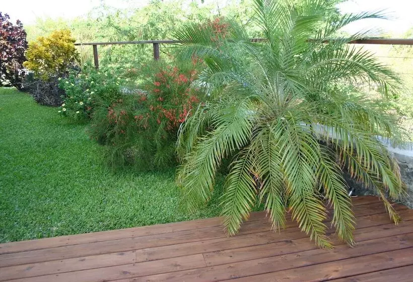 پانسیون Araucaria