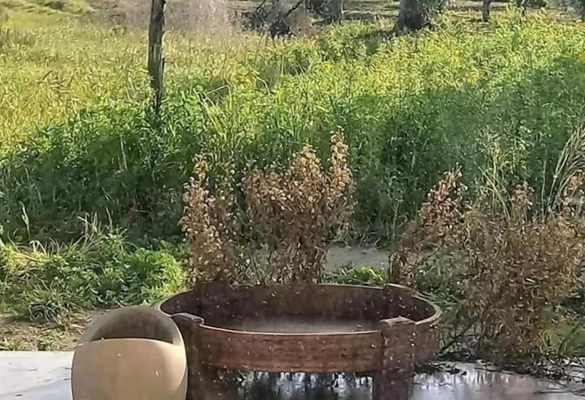 Hotel Cozzo Del Parroco