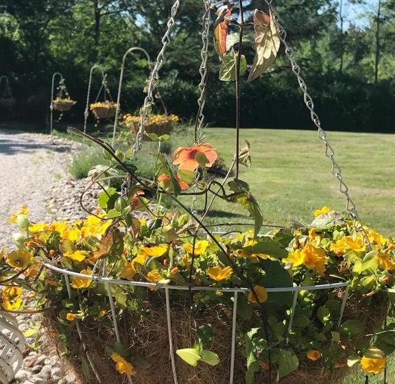 Martha's Vineyard B & B