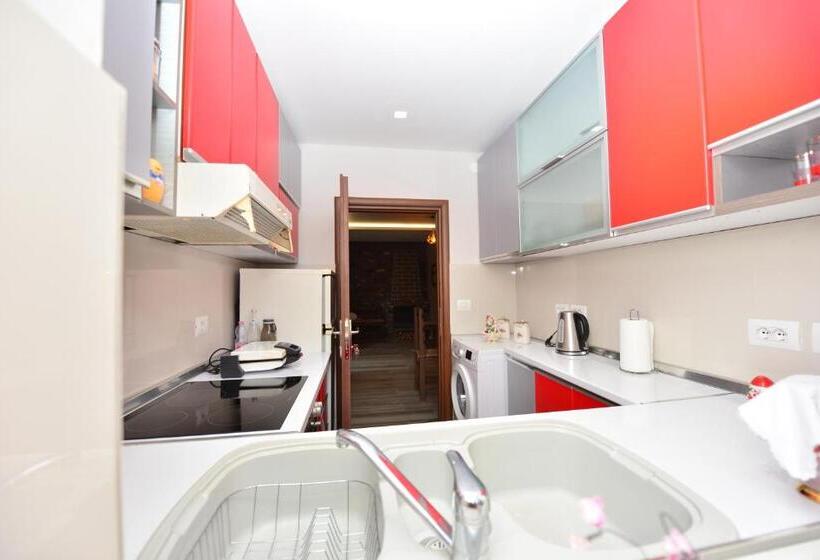 Пансион Vila Culli