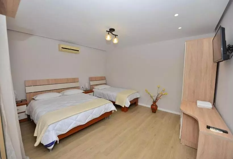 ペンション Vila Culli