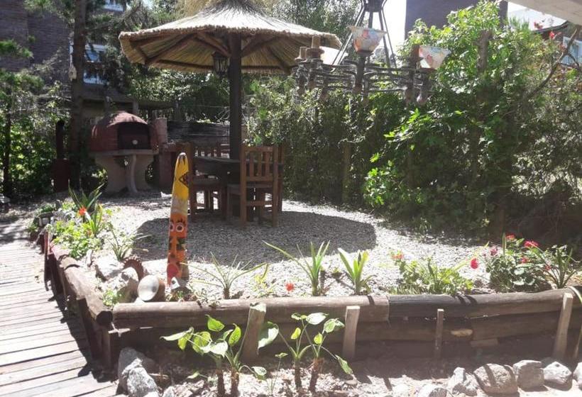 هاستل Costa Palmera