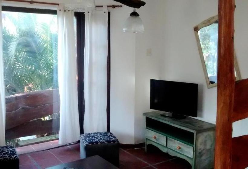 هاستل Costa Palmera