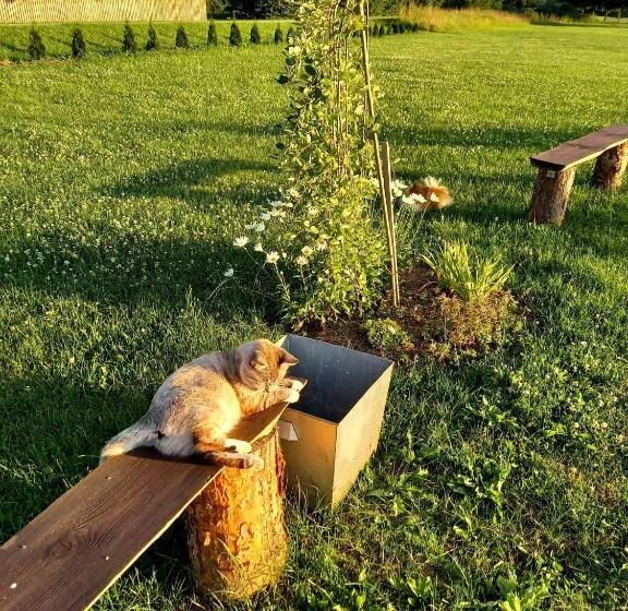 پانسیون Viesu Nams “bauļi”