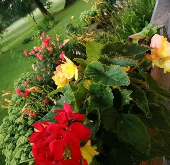 پانسیون Viesu Nams “bauļi”