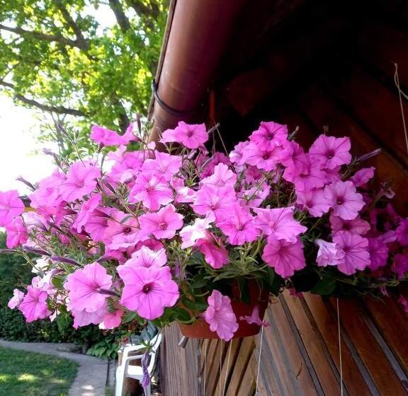 پانسیون Viesu Nams “bauļi”