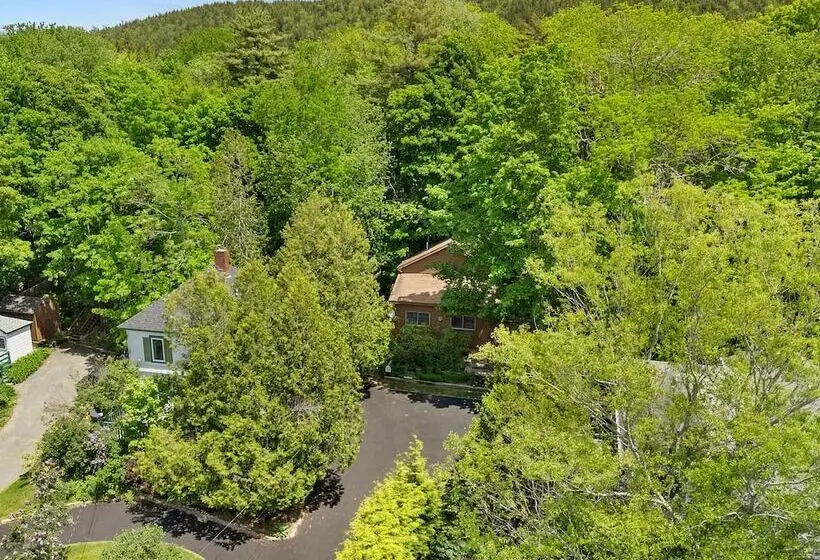 Alluring Home With Full Kitchen, Furnished Patio, Washer/dryer & Private Yard