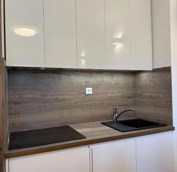 Terme Olimia   Apartment 120