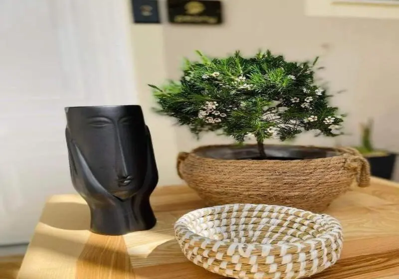 هتل Eora Studio