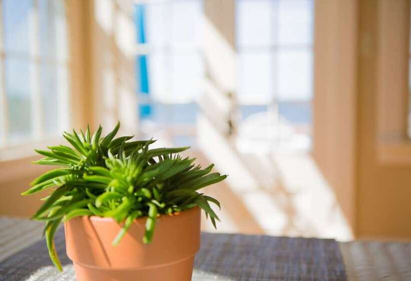 هاستل 1 West Inn Waterfront