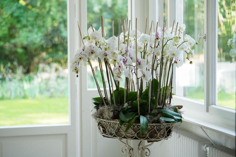 Signau House & Garden Boutique Hotel Zürich