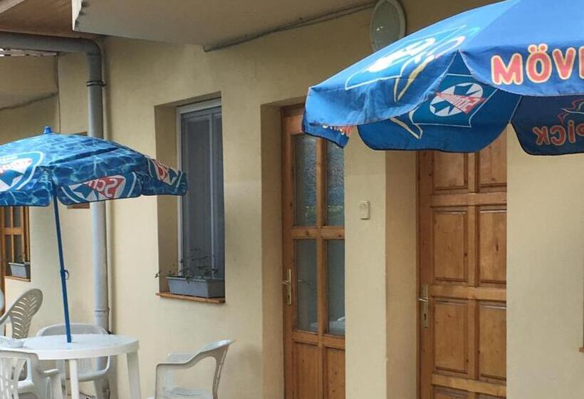 Пансион Fasor Vendégház