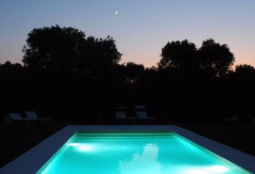 ベッドアンドブレックファースト Villa De Luxe Avec Piscine   Trullo Ulivi Al Sole