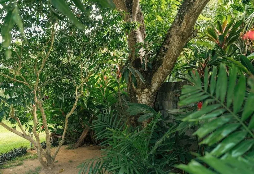 پانسیون Beau Vallon Bungalows