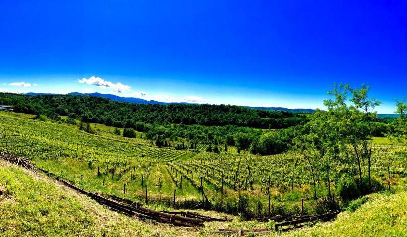 住宿加早餐  Relais Tenuta Gentili