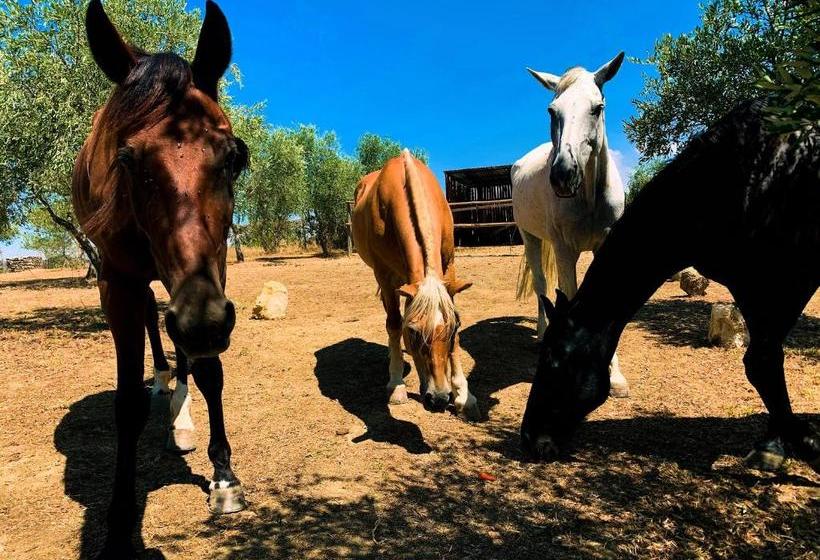 住宿加早餐  Relais Tenuta Gentili