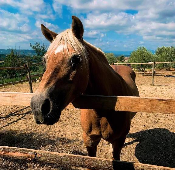 住宿加早餐  Relais Tenuta Gentili