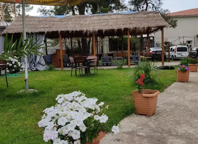 David Palace Hotel Ureki