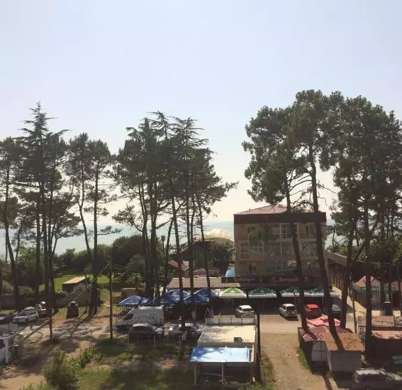 David Palace Hotel Ureki