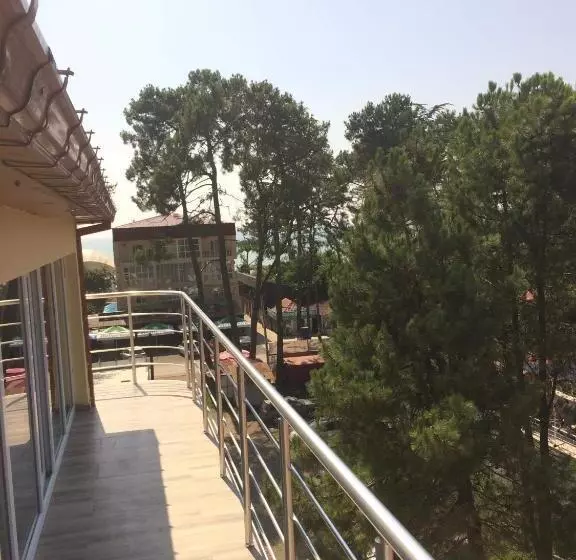 David Palace Hotel Ureki