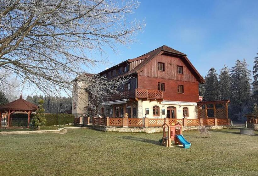 펜션 Penzion Planicka