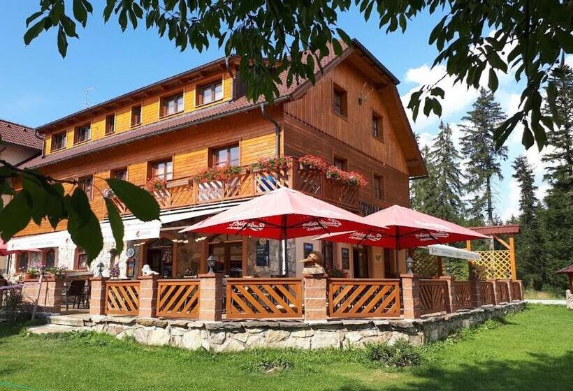 펜션 Penzion Planicka