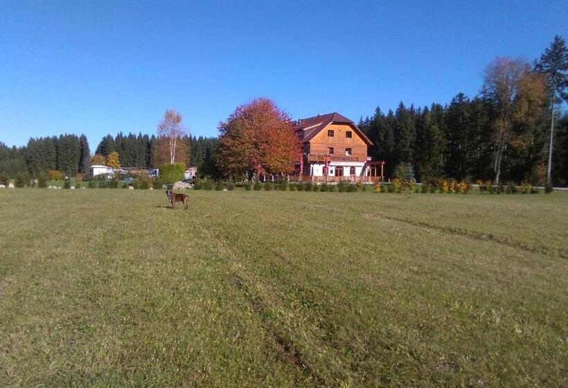 펜션 Penzion Planicka