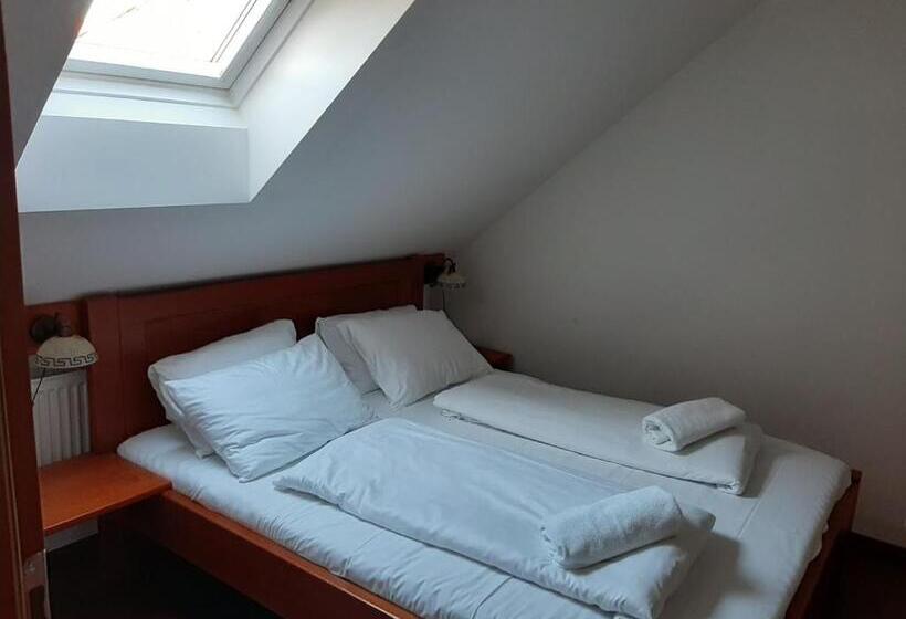 펜션 Penzion Planicka