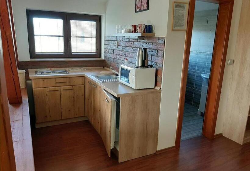 펜션 Penzion Planicka