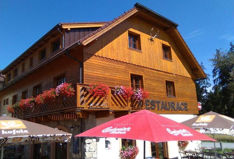 펜션 Penzion Planicka