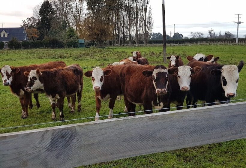 Bed and Breakfast Bruntwood Lodge