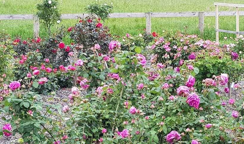 Bed and Breakfast Bruntwood Lodge