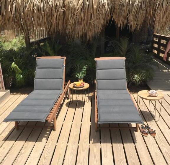 Bonaire Boutique Resort