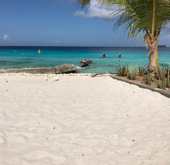 Bonaire Boutique Resort