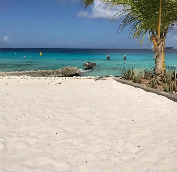 Bonaire Boutique Resort