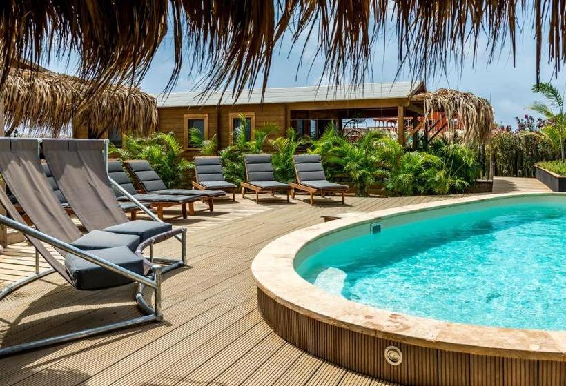 Bonaire Boutique Resort