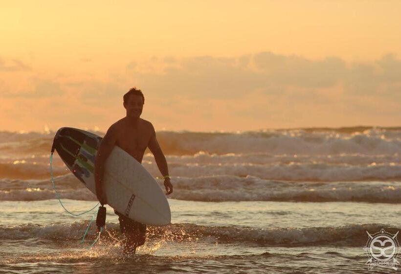 Progress Outdoor Surf Hostel